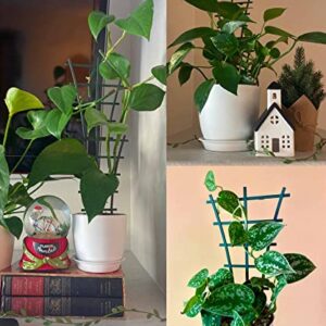 Feitore Plant Trellis Indoor, 6Pcs Stackable Plant Trellis for Climbing Plants Indoor, Small Plant Climbing Trellis for Potted Plants Plastic Climbing Plant Support Trellis for Houseplant Hoya Pothos