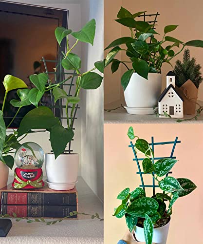 Feitore Plant Trellis Indoor, 6Pcs Stackable Plant Trellis for Climbing Plants Indoor, Small Plant Climbing Trellis for Potted Plants Plastic Climbing Plant Support Trellis for Houseplant Hoya Pothos