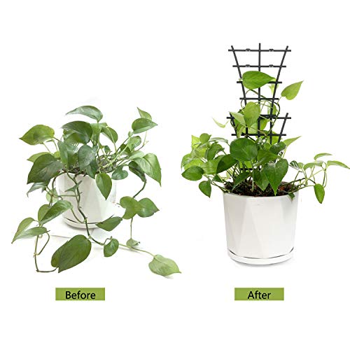 Feitore Plant Trellis Indoor, 6Pcs Stackable Plant Trellis for Climbing Plants Indoor, Small Plant Climbing Trellis for Potted Plants Plastic Climbing Plant Support Trellis for Houseplant Hoya Pothos