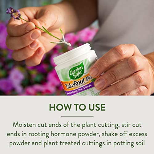 Garden Safe Take Root Rooting Hormone, Promotes Rooting, Grow New Plants From Cuttings, 2 Ounce