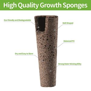 Feyut 30 Pack Grow Sponges, Replacement Root Growth Sponges Seed Pods Compatible with AeroGarden, Seedling Starter Sponges Kit for Hydroponic Indoor Garden System with 10pcs Plant Labels 1pcs Tweezer