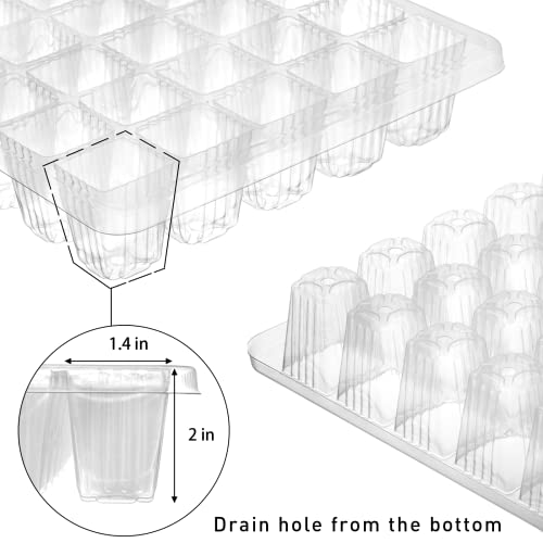 Youeon 6 Pack Seed Starter Tray with Adjustable Humidity Dome, Seed Starter Kit 240 Cells Total Tray, Garden Propagator Set with Planter Labels and Seedling Tools, Seedling Tray Kits, Black