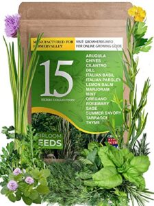 15 culinary medicinal herb seeds pack for planting indoors and outdoors – 100% heirloom, usa grown, non gmo – good for hydroponic garden – arugula, chives, cilantro, italian basil, parsley, and more