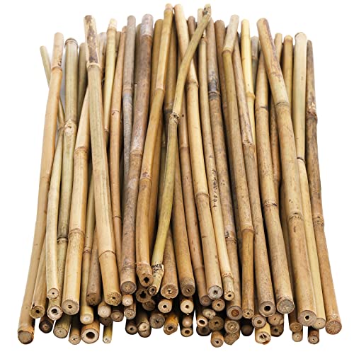 Frcctre 60 Pack 16 Inch Bamboo Plant Stakes, Natural Garden Sticks for Plant Indoor and Outdoor Gardening Plant Support Climbing Stakes for Tomatoes, Beans, Potted Plants