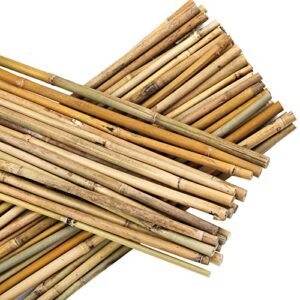 Frcctre 60 Pack 16 Inch Bamboo Plant Stakes, Natural Garden Sticks for Plant Indoor and Outdoor Gardening Plant Support Climbing Stakes for Tomatoes, Beans, Potted Plants