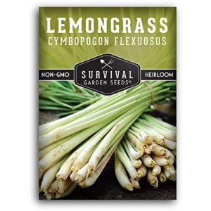 survival garden seeds – lemongrass seed for planting – packet with instructions to plant and grow lemon fresh asian lemongrass plants in your home vegetable garden – non-gmo heirloom variety
