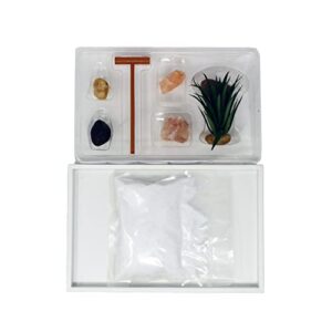 Nature's Mark Mini Zen Garden Kit for Desk with White Sand, Rake, White Base, Salt Rock and Air Plant (Rectangle)