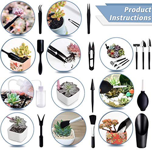 Succulent Tools, 13 Pcs Mini Garden Tool Set, Transplanting Tools Set,Succulent Care kit for Succulent Miniature Gardening Plant, Black