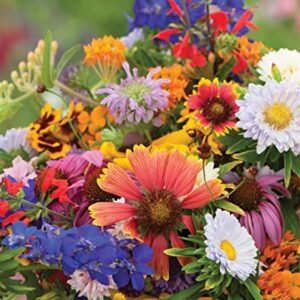 David's Garden Seeds Wildflower Butterfly Hummingbird Mix FBA-0003 (Multi) 200 Non-GMO, Heirloom Seeds