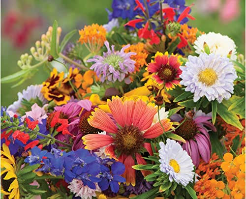 David's Garden Seeds Wildflower Butterfly Hummingbird Mix FBA-0003 (Multi) 200 Non-GMO, Heirloom Seeds