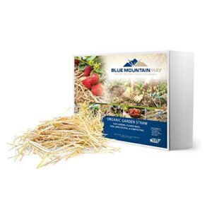 organic garden straw (10lb) | blue mountain hay | straw mulch for raised bed gardens, yard landscaping, new lawn grass seed plantings, tomato & vegetable compost & fertilizer | covers up to 150 sq ft