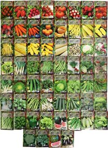 set of 60 premium variety herbs and vegetables – deluxe garden choices for premium gardening! (60 premium seeds)