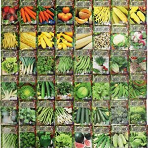 Set of 60 Premium Variety Herbs and Vegetables - Deluxe Garden Choices for Premium Gardening! (60 Premium Seeds)