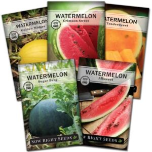 sow right seeds – watermelon seed collection for planting – crimson sweet, allsweet, sugar baby, tendersweet, and golden midget melon seeds – non-gmo heirloom seeds to plant a home vegetable garden
