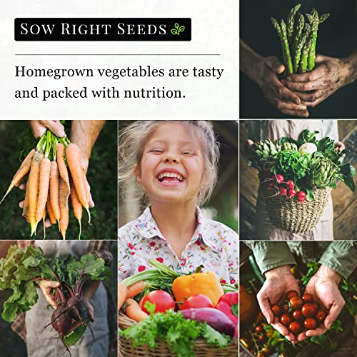 Sow Right Seeds - Watermelon Seed Collection for Planting - Crimson Sweet, Allsweet, Sugar Baby, Tendersweet, and Golden Midget Melon Seeds - Non-GMO Heirloom Seeds to Plant a Home Vegetable Garden