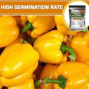 10 Sweet and Hot Pepper Seeds for Gardening Indoors & Outdoors - Non GMO Heirloom Pepper Seeds Variety Pack - Cayenne, Anaheim, California Bell & More