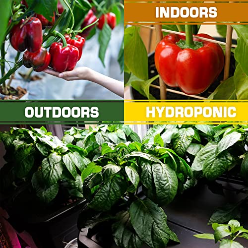 10 Sweet and Hot Pepper Seeds for Gardening Indoors & Outdoors - Non GMO Heirloom Pepper Seeds Variety Pack - Cayenne, Anaheim, California Bell & More