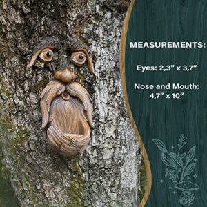 Tree Faces Decor Outdoor – Tree Hugger Yard Art Garden Decoration – Unique Bird Feeders for Outdoors and Indoors – Old Man Tree Art