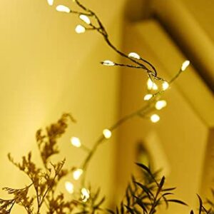 Dailyart 6feet 120 LED Starry Lights, Battery Operated Waterproof Dark Green Copper Wire Fairy Light String Light for Garland, Wreath, Patio, Garden, Wedding, Party, Xmas