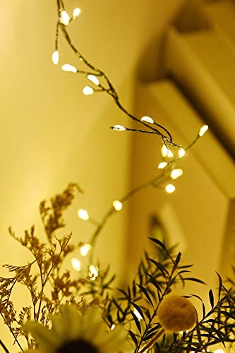 Dailyart 6feet 120 LED Starry Lights, Battery Operated Waterproof Dark Green Copper Wire Fairy Light String Light for Garland, Wreath, Patio, Garden, Wedding, Party, Xmas