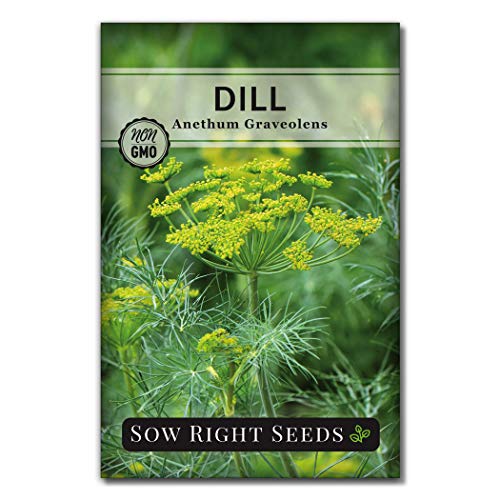 Sow Right Seeds - 15 Herb Garden Seed Collection - 15 Essential Herbs for Cooking; Non-GMO Heirloom Seeds; Full Instructions for Planting an Easy to Grow Kitchen Garden, Indoor or Outdoor; Great Gift…