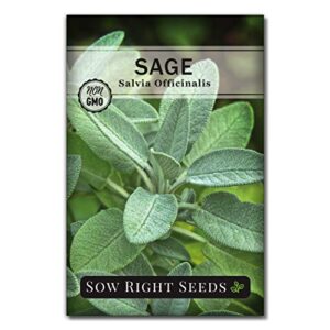 Sow Right Seeds - 15 Herb Garden Seed Collection - 15 Essential Herbs for Cooking; Non-GMO Heirloom Seeds; Full Instructions for Planting an Easy to Grow Kitchen Garden, Indoor or Outdoor; Great Gift…