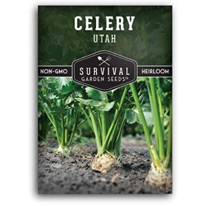 survival garden seeds – utah celery seed for planting – packet with instructions to plant and grow delicious celery plants in your home vegetable garden – tender and crisp non-gmo heirloom variety