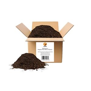 old potters organic peat moss – 100% sphagnum peat moss for potted plants & seed starting – improves soil quality, organic gardening for indoor and outdoor use (12 quart)