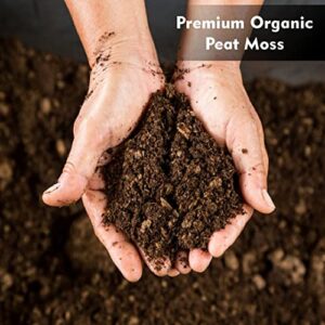 Old Potters Organic Peat Moss – 100% Sphagnum Peat Moss for Potted Plants & Seed Starting – Improves Soil Quality, Organic Gardening for Indoor and Outdoor use (12 Quart)