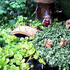 TG,LLC Treasure Gurus Miniature Wooden Arch Bridge Fairy Garden Ornament Outdoor Dollhouse Decor Supply