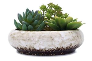 vanenjoy 7.3 inch round large shallow succulent ceramic glazed planter pots with drainage hole, bonsai pots garden decorative cactus stand flower container (white)