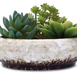 VanEnjoy 7.3 inch Round Large Shallow Succulent Ceramic Glazed Planter Pots with Drainage Hole, Bonsai Pots Garden Decorative Cactus Stand Flower Container (White)