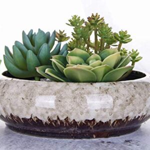 VanEnjoy 7.3 inch Round Large Shallow Succulent Ceramic Glazed Planter Pots with Drainage Hole, Bonsai Pots Garden Decorative Cactus Stand Flower Container (White)