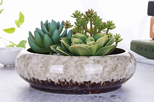 VanEnjoy 7.3 inch Round Large Shallow Succulent Ceramic Glazed Planter Pots with Drainage Hole, Bonsai Pots Garden Decorative Cactus Stand Flower Container (White)