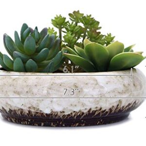 VanEnjoy 7.3 inch Round Large Shallow Succulent Ceramic Glazed Planter Pots with Drainage Hole, Bonsai Pots Garden Decorative Cactus Stand Flower Container (White)