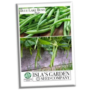 blue lake bush green bean seeds, 50+ heirloom seeds per packet, non gmo seeds, (isla’s garden seeds), botanical name: phaseolus vulgaris