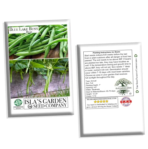 Blue Lake Bush Green Bean Seeds, 50+ Heirloom Seeds Per Packet, Non GMO Seeds, (Isla's Garden Seeds), Botanical Name: Phaseolus vulgaris