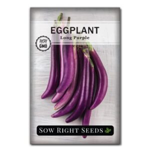 sow right seeds – long purple eggplant seed for planting – non-gmo heirloom packet with instructions to plant an outdoor home vegetable garden – great gardening gift (1)