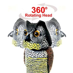 GiftExpress 2 Pk 15.5" Scarecrow Owl Decoy with Rotating Head Statue, Pest Repellent, Bird Control, Bird Deterrent, Garden Protectors, Fake Owls (2)