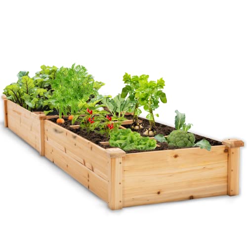 Idzo Raised Garden Bed, Durable Garden Box with Wax Oil Coated, 96 Inches Wood Planter with Non-Woven Lining Prevents Soil Moist, One Divider Box Make Organizing Your Plant Crops Easier