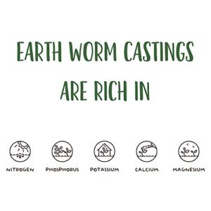 Earth Worm Castings – Organic Red Worm Compost Soil Amendment - .13 Cubic Foot ~6 Lbs - Approximately 1 Gallon - Organic Red Worm Vermiculture and Compost Home, Garden, Greenhouse, and Farm