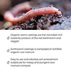 Earth Worm Castings – Organic Red Worm Compost Soil Amendment - .13 Cubic Foot ~6 Lbs - Approximately 1 Gallon - Organic Red Worm Vermiculture and Compost Home, Garden, Greenhouse, and Farm