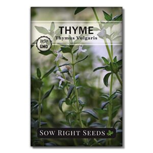 sow right seeds – thyme seed for planting – all non-gmo heirloom thyme seeds with full instructions for easy planting and growing your kitchen herb garden, indoor or outdoor; great gift