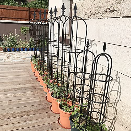 Garden Obelisk Trellis for Climbing Plants, Rustproof Plastic Coated Metal Plant Support, Garden Tower Trellis Indoor Potted Plant, Tomato Plant Cage for Support Rose, Vegetable Vines(2 Pack)