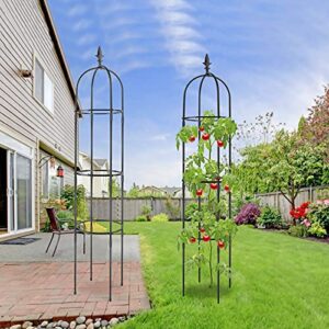 Garden Obelisk Trellis for Climbing Plants, Rustproof Plastic Coated Metal Plant Support, Garden Tower Trellis Indoor Potted Plant, Tomato Plant Cage for Support Rose, Vegetable Vines(2 Pack)