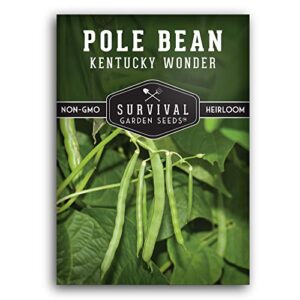 survival garden seeds – kentucky wonder pole bean seed for planting – packet with instructions to plant and grow delicious snap beans in your home vegetable garden – non-gmo heirloom variety