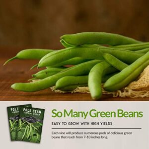 Survival Garden Seeds - Kentucky Wonder Pole Bean Seed for Planting - Packet with Instructions to Plant and Grow Delicious Snap Beans in Your Home Vegetable Garden - Non-GMO Heirloom Variety