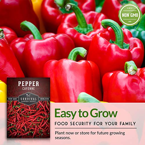 Survival Garden Seeds - California Wonder Pepper Seed for Planting - Packet with Instructions to Plant and Grow Sweet Red Bell Peppers in Your Home Vegetable Garden - Non-GMO Heirloom Variety