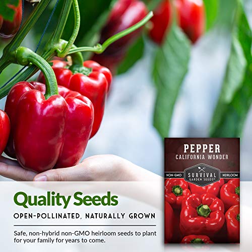 Survival Garden Seeds - California Wonder Pepper Seed for Planting - Packet with Instructions to Plant and Grow Sweet Red Bell Peppers in Your Home Vegetable Garden - Non-GMO Heirloom Variety