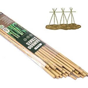 cambaverd 25 pcs bamboo garden stakes 4 feet eco-friendly bamboo plant stakes, for roma tomatoes sunflowers pole beans trees potted dahlia flowers and climbing plants – pack of 25 bamboo sticks